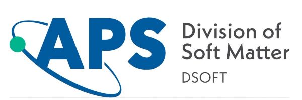 Travel Grant from DSOFT